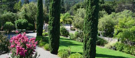 Parco della struttura