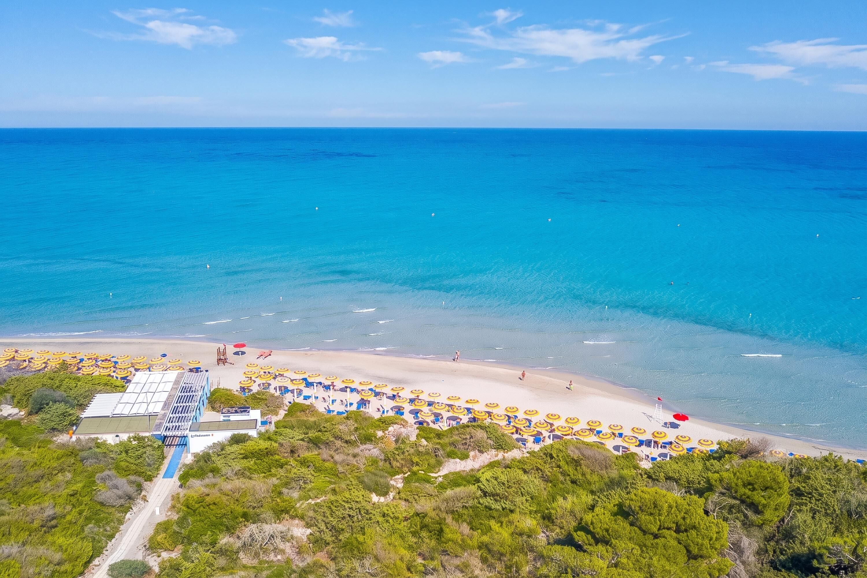 An aerial view of a beach with clear blue waters, a sandy shore, and numerous umbrellas.