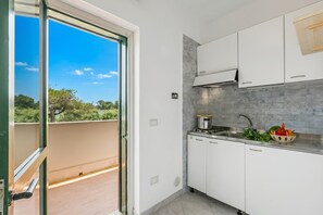 A modern kitchen with white cabinets, a stainless steel sink, and a window overlooking greenery.