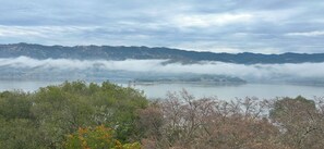 Imagen general