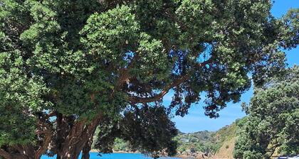 Cute wee bach within walking distance of beaches and village