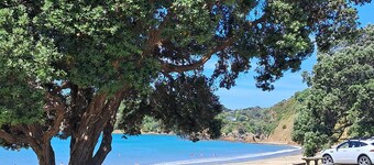 Cute wee bach within walking distance of beaches and village