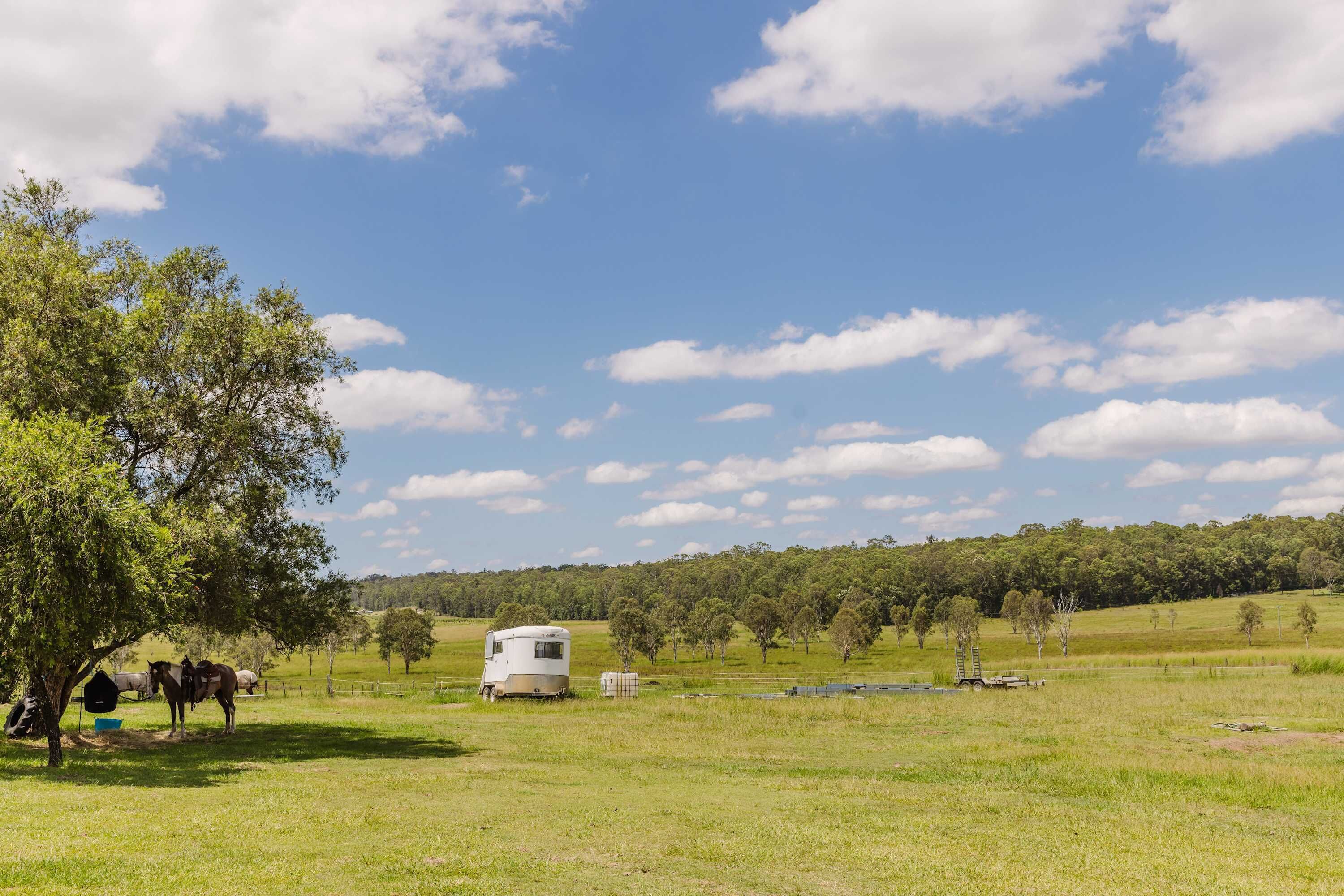 A white RV in a grassy field with trees and a clear sky.