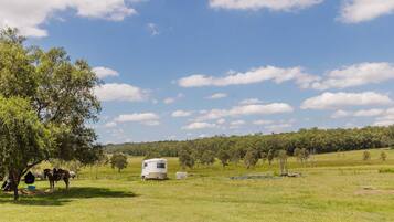 A white RV in a grassy field with trees and a clear sky.