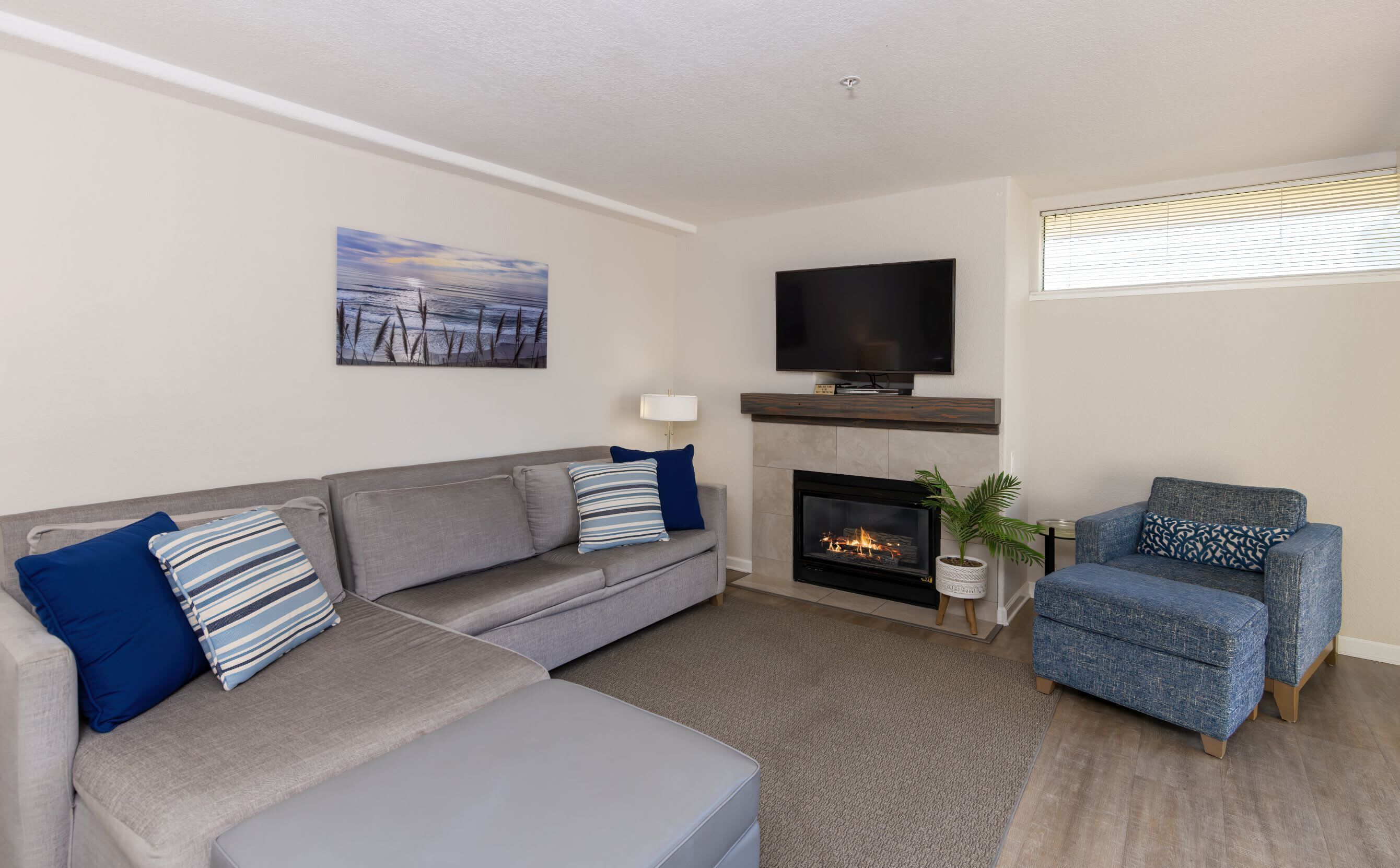 TV, fireplace, offices