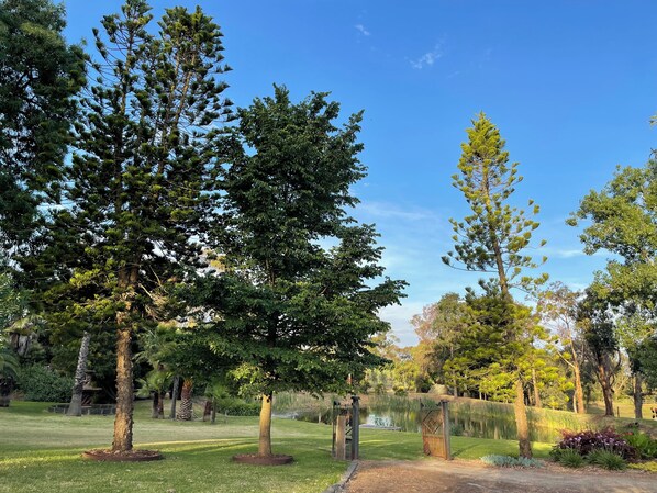 A park with various trees, a pond, and a well-maintained lawn. - The Shearers Quarters at Historic Soho Estate  (Drysdale)