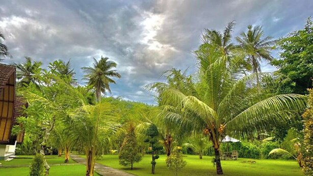 Um jardim tropical com palmeiras e um caminho que leva a um edifício.