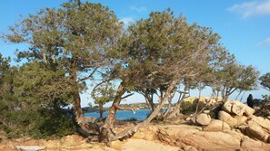 Classic-lejlighed - 3 soveværelser | Udsigt fra overnatningsstedet