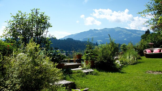 Jardim