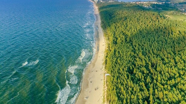 Eine Luftaufnahme einer Küstenregion mit Strand und dichtem Wald.