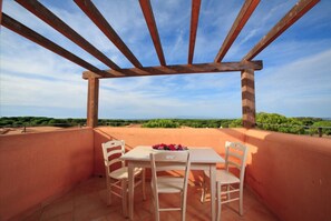 Casa clásica, 1 habitación | Balcón
