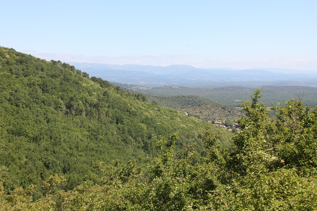 A mountainous landscape with dense forest and a distant view of a valley.