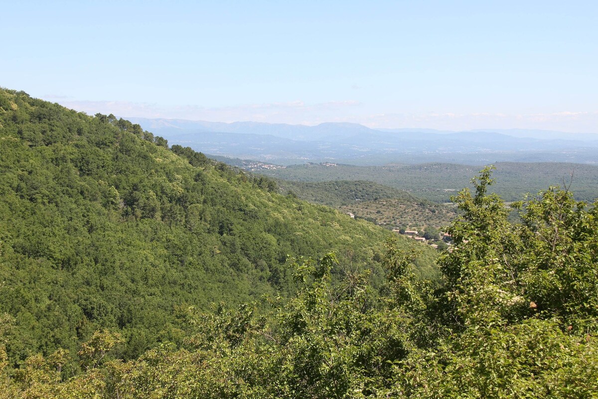 A mountainous landscape with dense forest and a distant view of a valley.