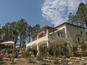 Garden - Contemporary Villa With Swimming Pool (Le Muy)