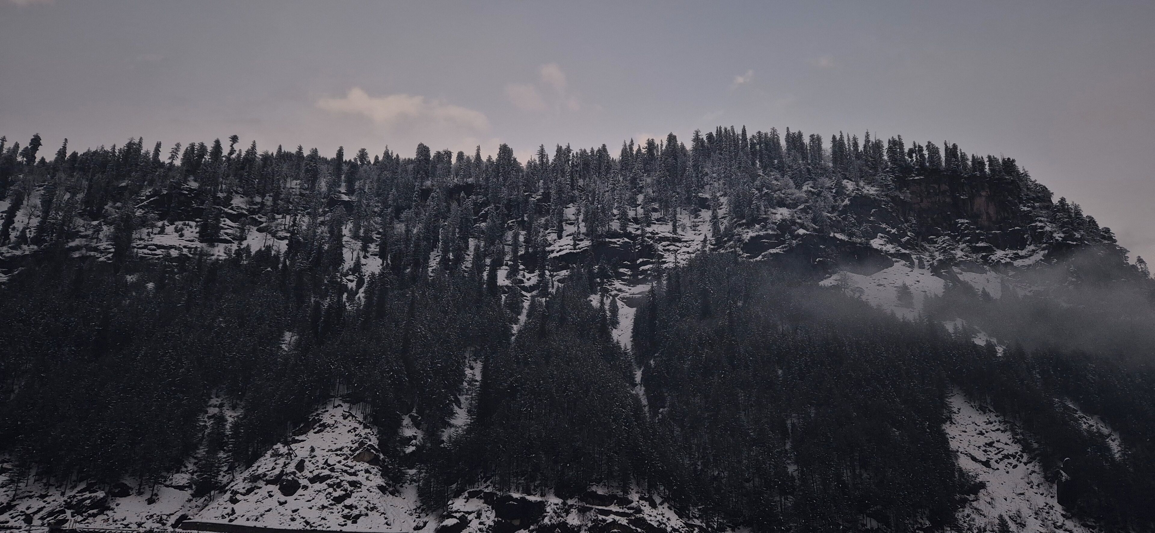 A mountainous landscape with dense forests and snow-covered terrain.