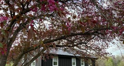 Aftonshire Cottage - Heart of Afton's Wine Region