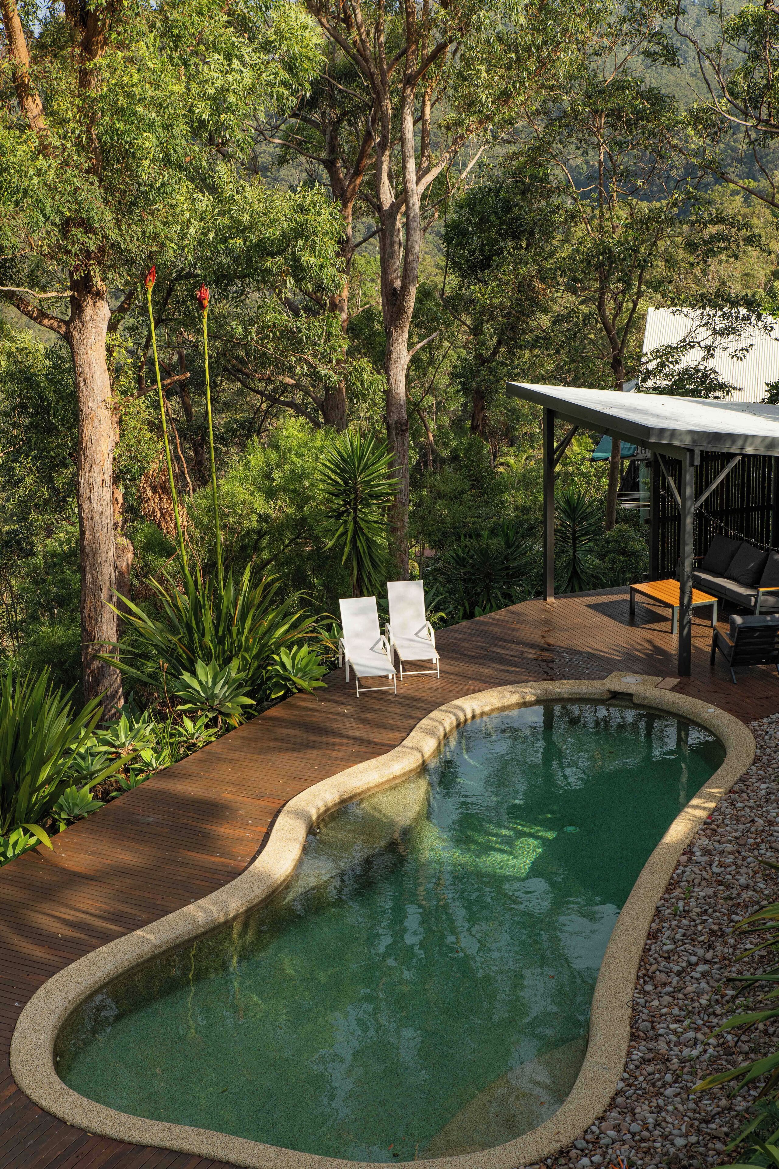 Ein Pool mit zwei Liegestühlen, umgeben von üppiger Vegetation und Bäumen.