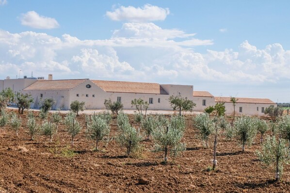 Exterior - Hotel in Brindisi with 1 bedrooms sleeps 2 (Brindisi)