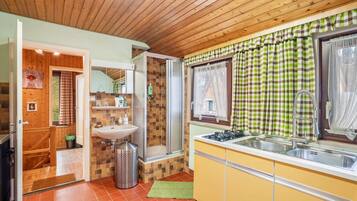 Kühlschrank, Mikrowelle, Herdplatte, Geschirrspüler