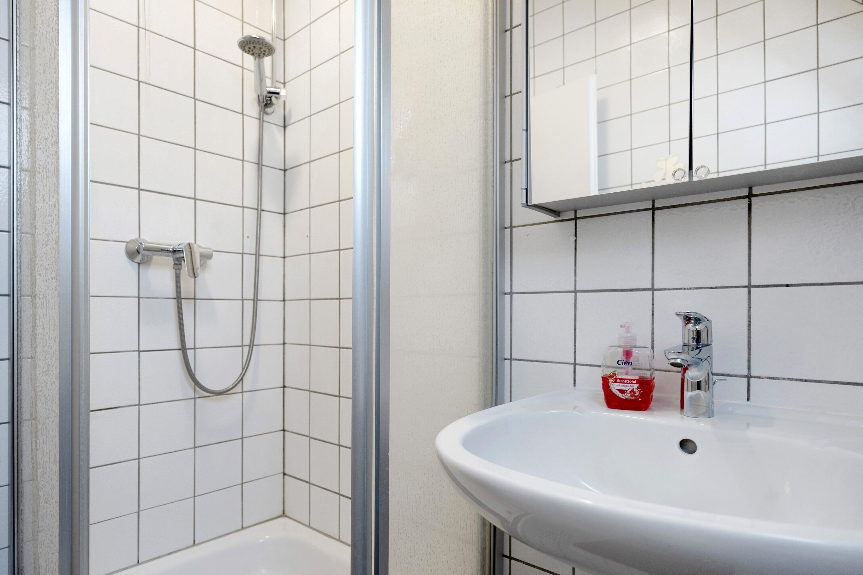Une salle de bain avec une douche, un lavabo et un miroir.
