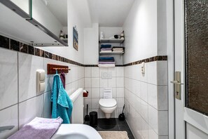 Regadera y secadora de cabello 