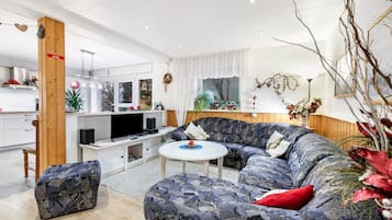 TV, lettore DVD, tavolo da ping pong, impianto stereo