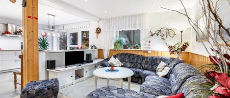 Televisio, DVD-soitin, pöytätennispöytä, stereot