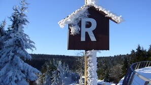 Señal de estacionamiento cubierta de nieve con la letra 'R' que indica una zona de aparcamiento.