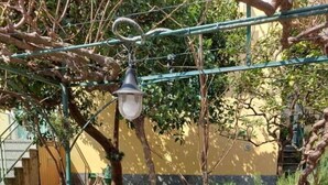 Un patio al aire libre con una mesa redonda cubierta con un mantel floral, rodeado de sillas de metal verde.