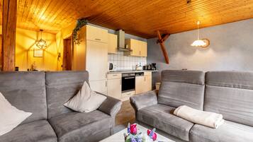 Fernseher, Tischtennisplatte