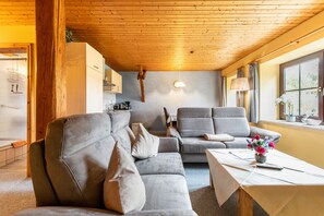 TV, ping pong - Apartment '2' with Shared Terrace and Wi-Fi (Ostrohe)