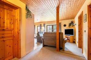 Televisio, pöytätennispöytä