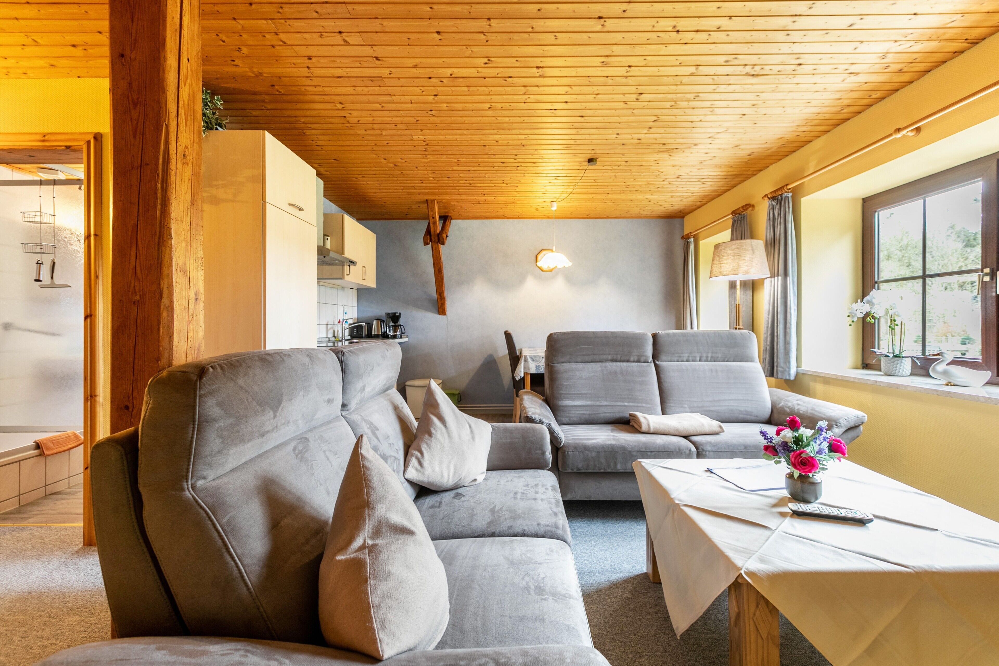 Fernseher, Tischtennisplatte