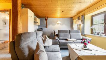 Fernseher, Tischtennisplatte