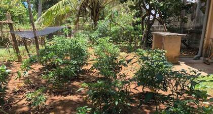 Charming villa with 1 bed room WiFi,AC in lovely Ambalangoda,10min walk to beach