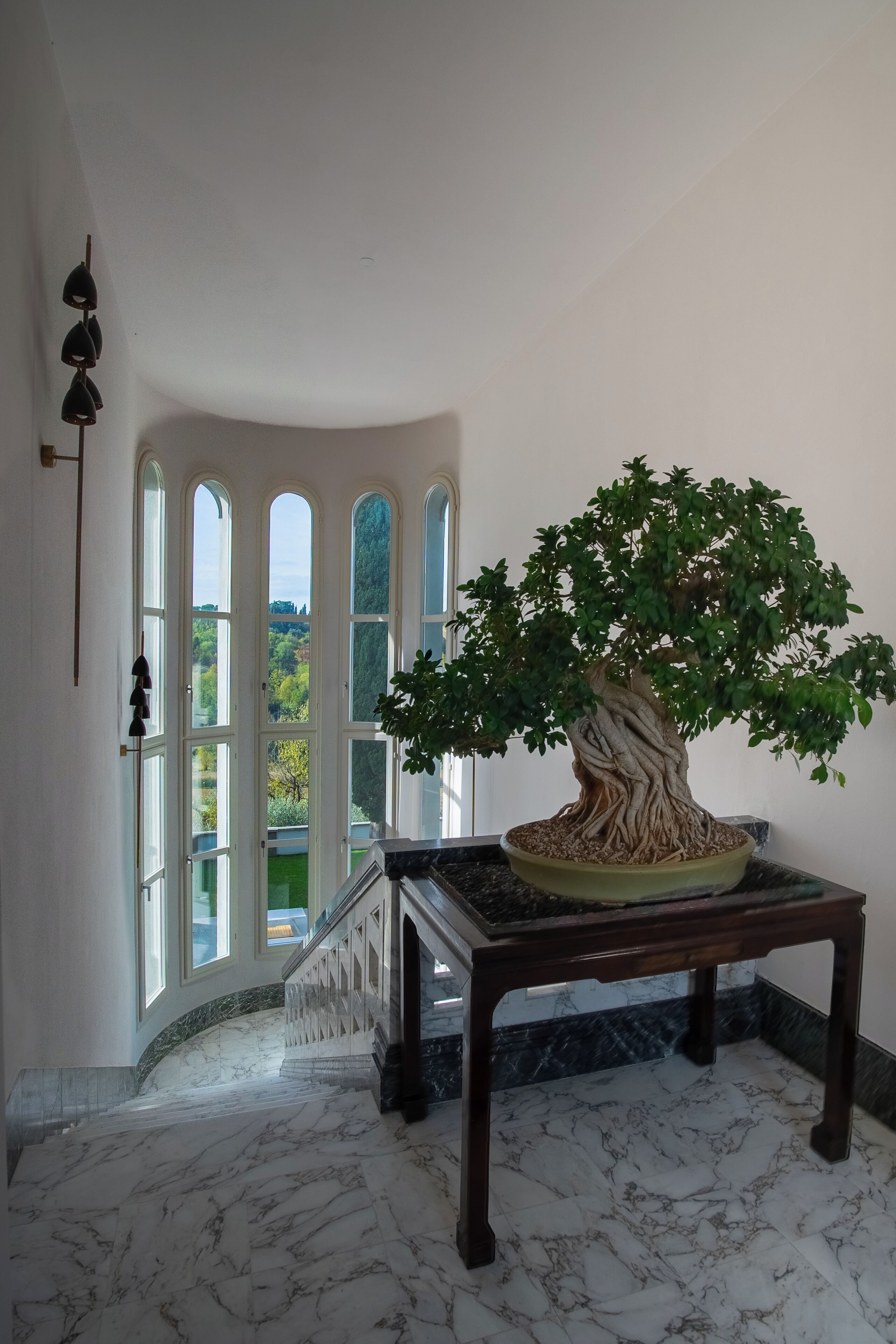 A grand staircase with marble flooring leading to a balcony with large windows. A bonsai tree is placed on a table beside the staircase.
