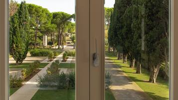 A view through a window of a park with pathways, trees, and a clear sky.