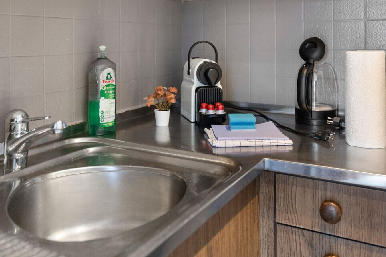 A kitchen with a stainless steel sink, a bottle of Frosch lime cleaner, a kettle, a kettle pot, a roll of paper towels, and a small potted plant.