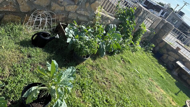 A garden area with potted plants, a metal birdcage, and a stone wall. - Bridgeton suites (El Paso)