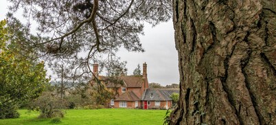 Tranquil Forest Retreat in Brockenhurst