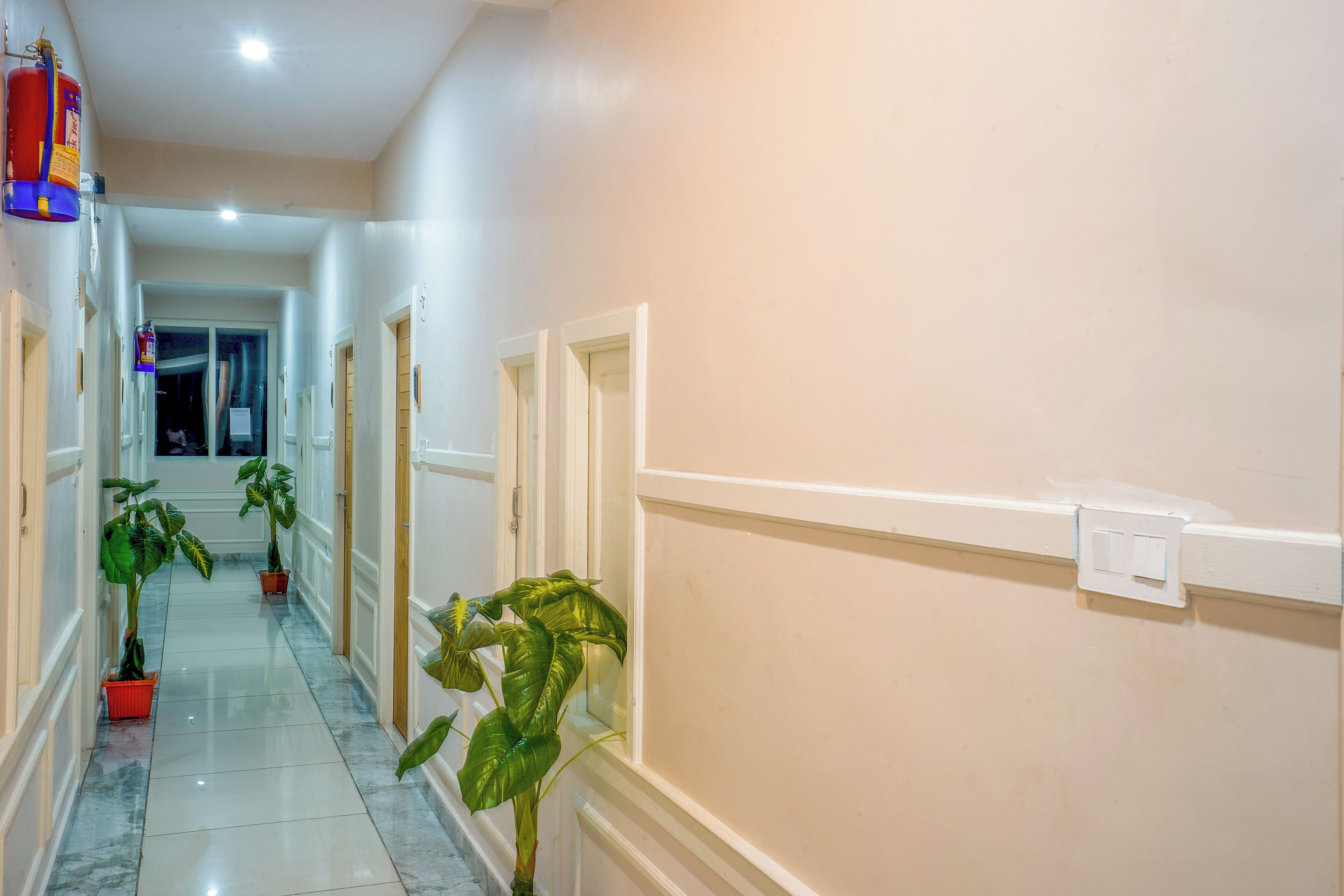 A hallway with white walls, a tiled floor, and potted plants.