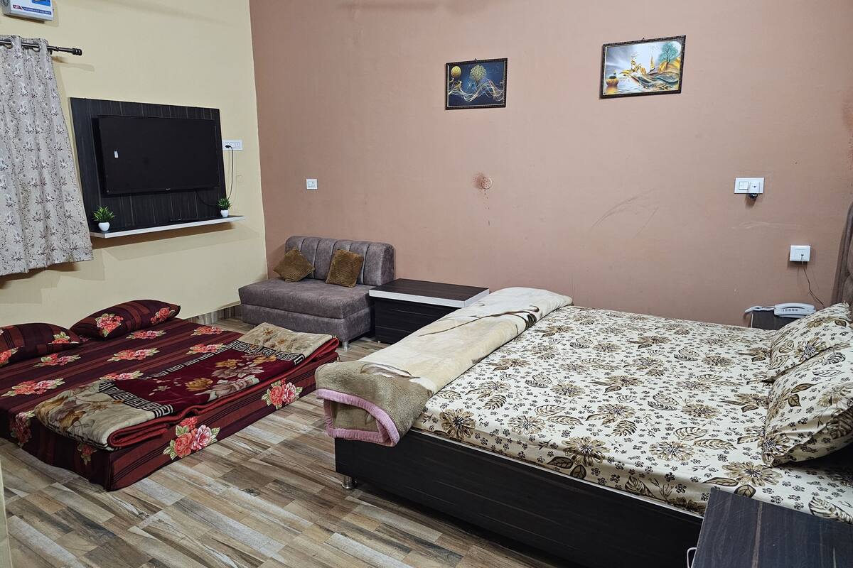 A bedroom with a bed, a sofa, a TV, and two wall-mounted paintings.