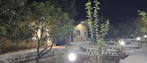 テラス / パティオ