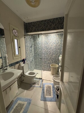 Ducha, toallas, jabón, papel higiénico