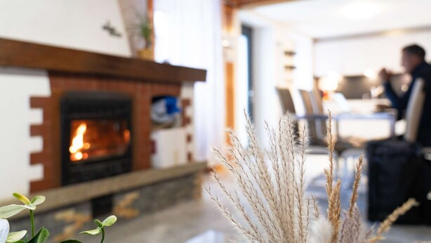 A cozy living room with a fireplace, a plant, and a blurred background suggesting a dining area.