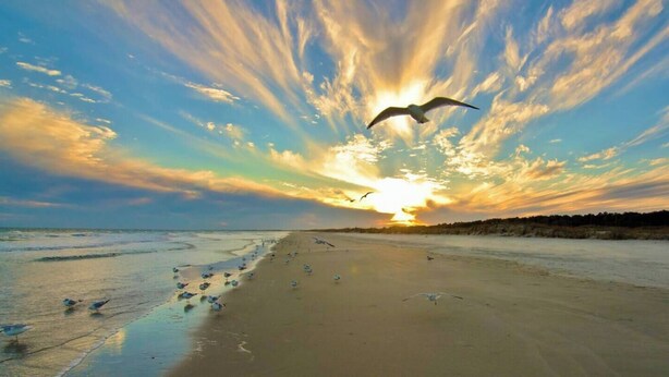 A beach scene with a sunset, birds on the sand, and a clear sky. - Cottage Beneath the Branches in Wachesaw-golf/pool/beach (Murrells Inlet)