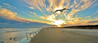 Cottage Beneath the Branches in Wachesaw-golf/pool/beach