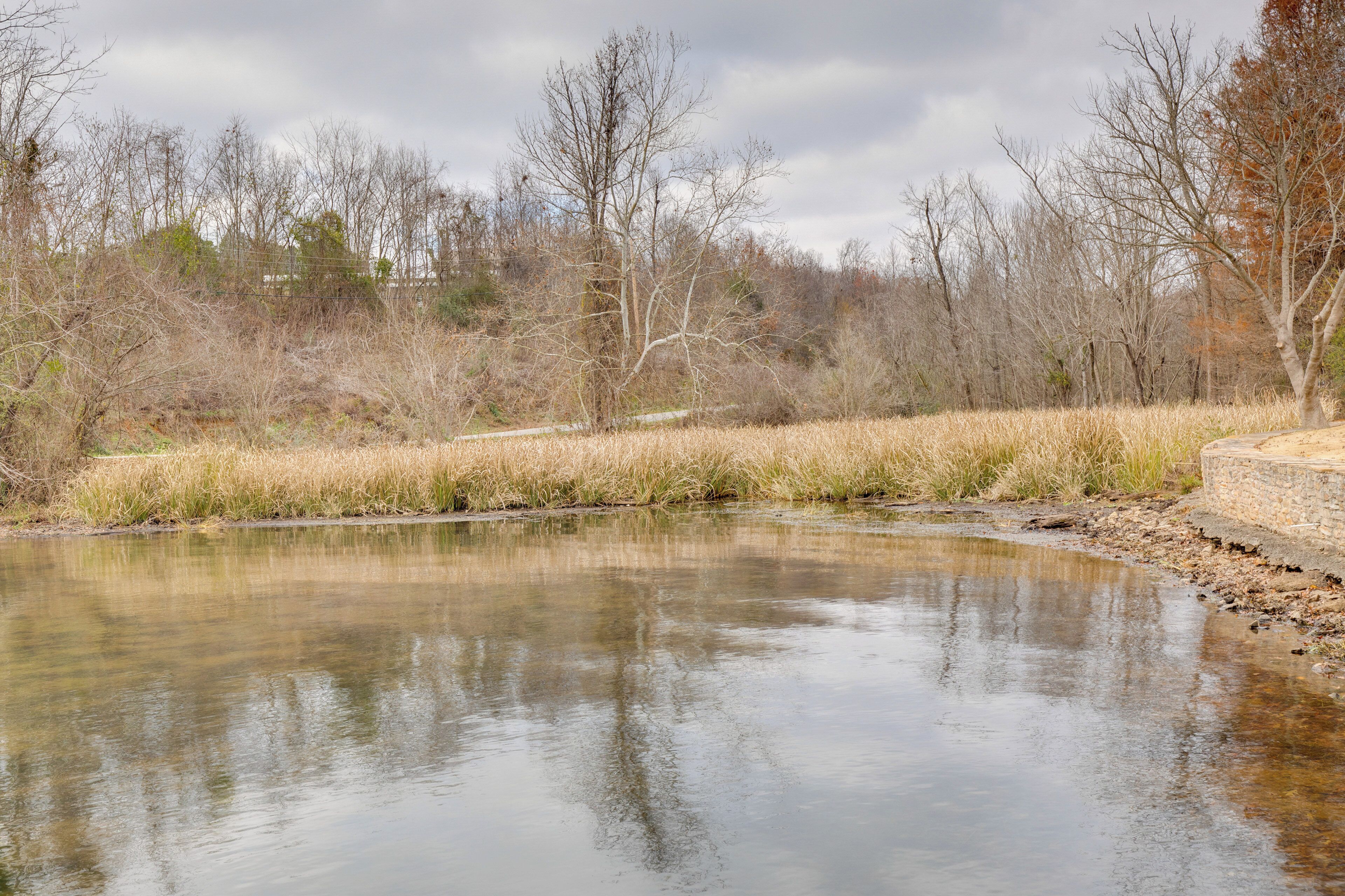 A natural landscape with a pond, trees, and a stone wall.