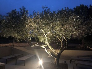 Overnatningsstedets område