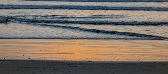 Luxury villa beautiful garden (fruit) and large private pool, 2.5 km from the beach 